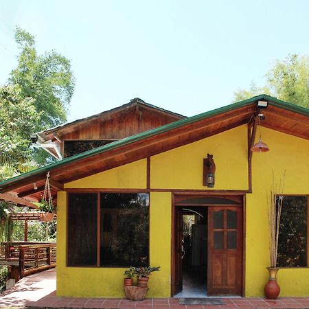 Senz Chalet Riverside - Mindo Dış mekan fotoğraf