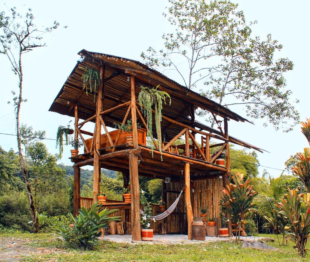 Senz Chalet Riverside - Mindo Dış mekan fotoğraf
